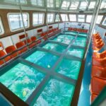 Glass Bottom Boat 2 Hours Tour And Coral Reef Viewing From Aqaba Overview Of The Experience