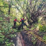 Gran Canaria: Canyoning In The Rainforest Overview Of Canyoning