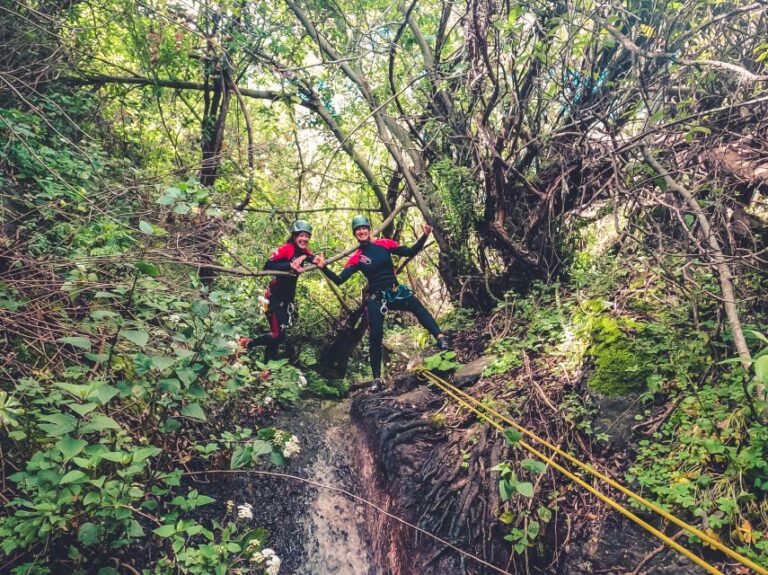 Gran Canaria: Canyoning In The Rainforest Overview Of Canyoning