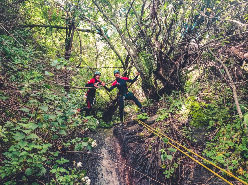 Gran Canaria: Canyoning in the Rainforest - Overview of Canyoning