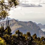 Gran Canaria: Highlights Tour, Hike In The Lauer Forest Overview Of The Tour