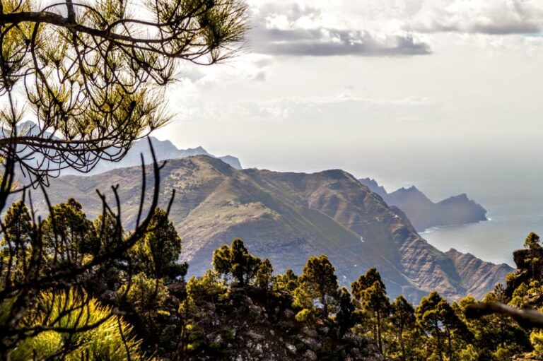 Gran Canaria: Highlights Tour, Hike In The Lauer Forest Overview Of The Tour