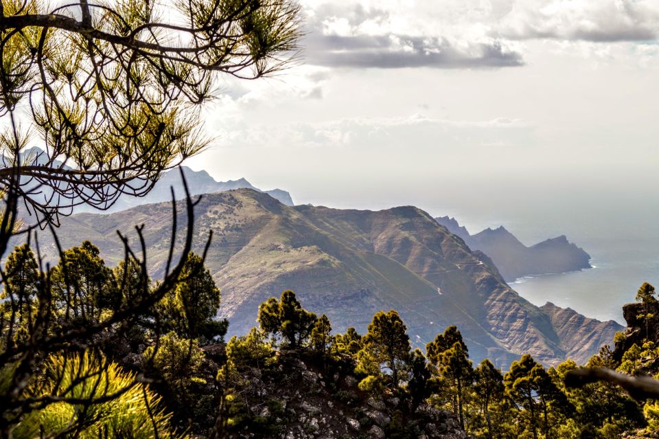 Gran Canaria: Highlights Tour, Hike in the Lauer Forest - Overview of the Tour