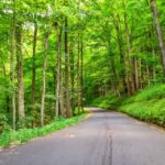 Great Smoky Mountains Np & Cades Cove Self Guided Tour Tour Overview