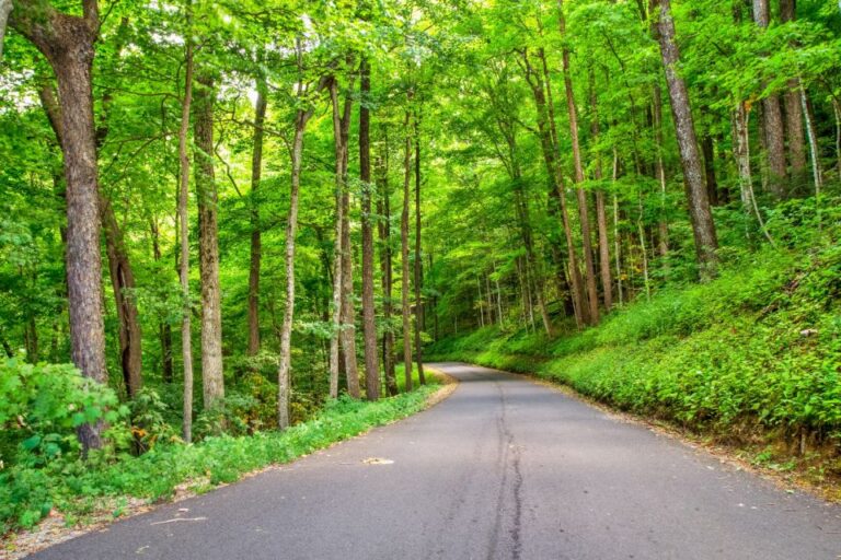 Great Smoky Mountains Np & Cades Cove Self Guided Tour Tour Overview