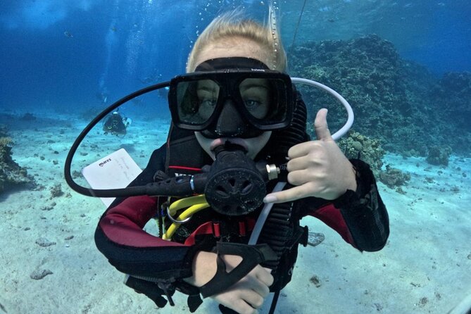 Guided Diving Experience for Padi OW in Red Sea and Sinai - Overview of the Experience