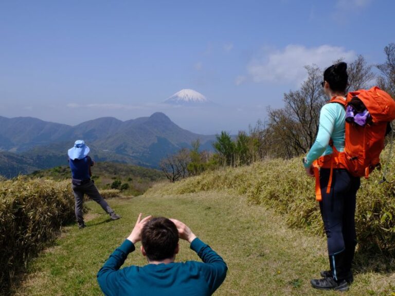 Hakone: Traverse The Hakone Caldera And Enjoy Onsen Tour Overview And Details