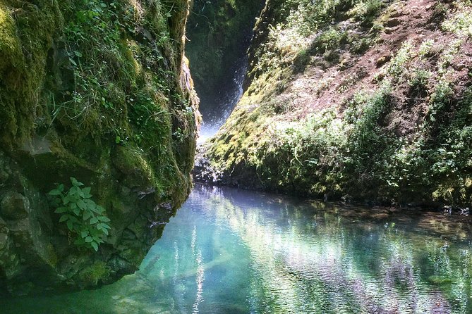 Half-Day Columbia River Gorge and Waterfall Hiking Tour - Tour Overview