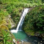 Half Day Concord Waterfall And Chocolate Factory Tour Overview Of The Tour