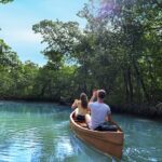 Half Day Private Los Haitises Caves And Mangroves Canoe Tour Accessibility And Recommendations