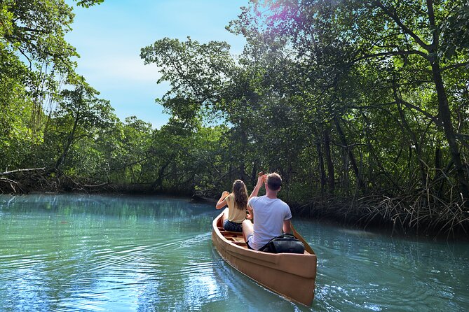 Half-Day Private Los Haitises Caves and Mangroves Canoe Tour - Accessibility and Recommendations