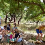 Half Day Small Group E Bike Tour Of Rural Algarve With Lunch Activity Description