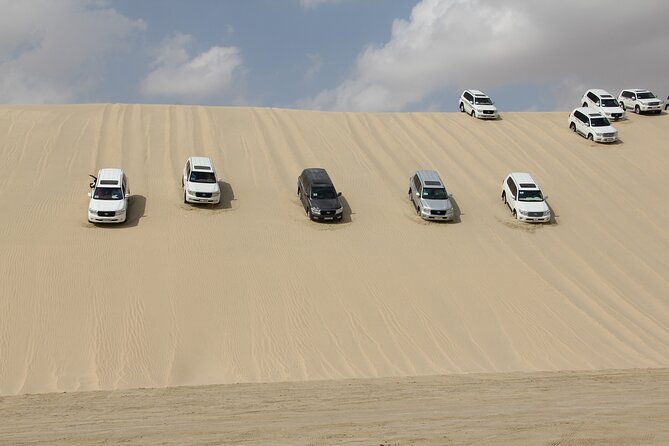 Half Day Tour in Sealine Beach With 1 Hour Camel Ride - Tour Overview