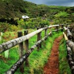 Half Day Van Tour On The Center Of The Terceira Island Tour Overview