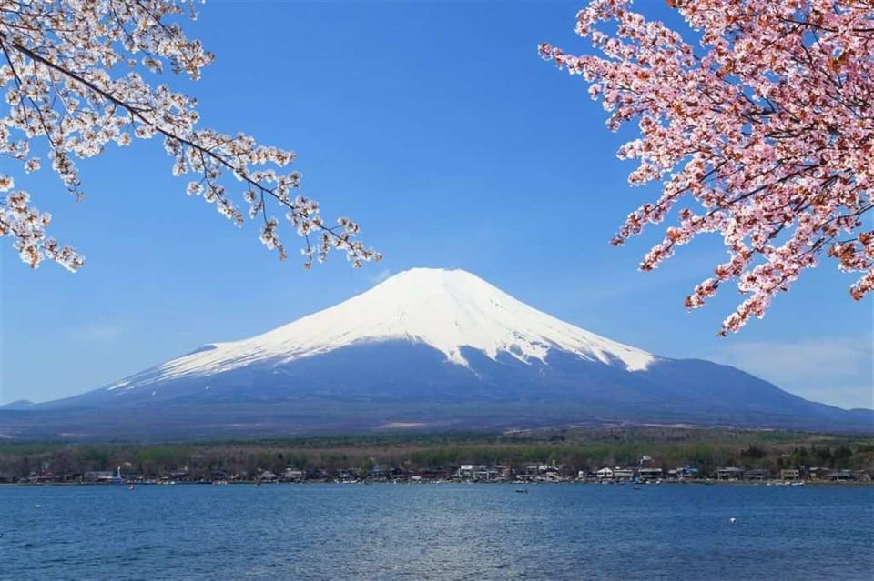 Haneda Airport（Hnd）To/From Fuji Area Private Transfer - Booking and Payment Options