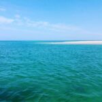 Hello: Private Boat Tour To Ria Formosa Overview Of The Tour