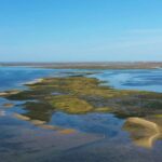 Hello: Ria Formosa Boat Cruise To Armona And Culatra Overview And Duration