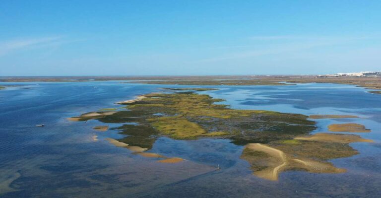 Hello: Ria Formosa Boat Cruise To Armona And Culatra Overview And Duration