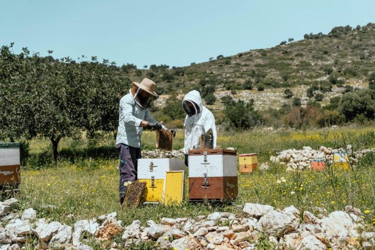 Heraklion: True Crete Melidoni Cave, Secrets Of Honey, Olive Tour Overview And Pricing