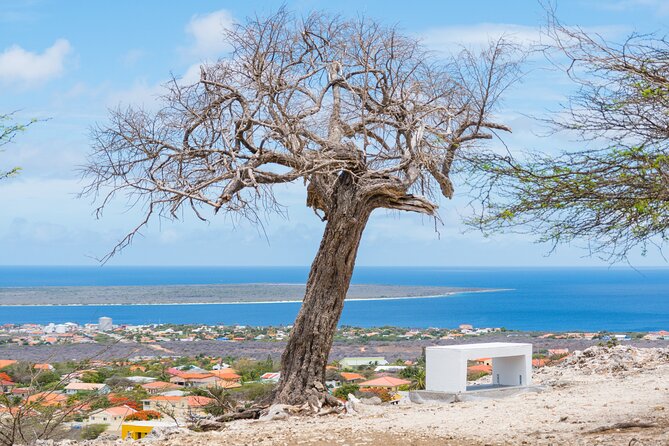 Highlights Of Bonaire & Cultural Experience Slave Huts Insight