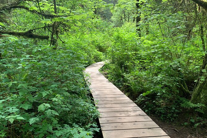 Hike Lynn Canyon and Bike Seymour Demonstration Forest - Overview of the Experience