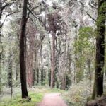 Hiking In Sintra Cascais Natural Park Hiking Through Sintra Cascais Natural Park