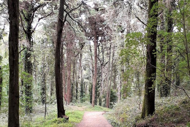 Hiking In Sintra Cascais Natural Park Hiking Through Sintra Cascais Natural Park