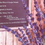 History And Van Gogh In Provence From Aix En Provence Papal Palace And Avignons History