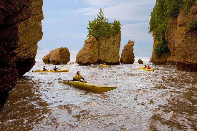 Hopewell Rocks Admission - Inclusions and Exclusions