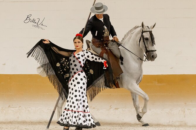 Horse and Flamenco Show in Malaga - Overview of the Experience