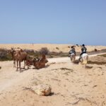 Horse Ride On The Beach In Essaouira Tour Overview