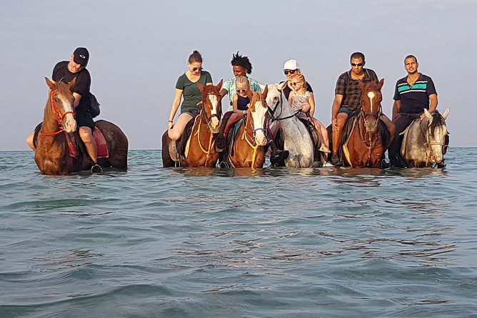 Horse Riding 3 Hours Beach, Desert, & Swimming by Horse in Red Sea - Hurghada - Itinerary Details