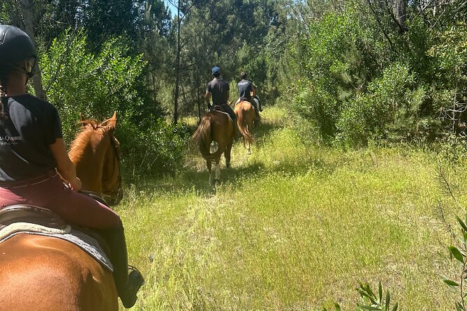 Horse Riding in the Countryside - Overview of the Activity