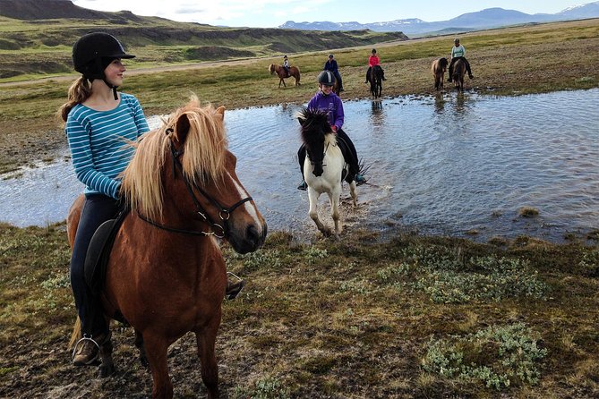 Horse Riding Tour To The Glacier River Delta With Waterfall Tour Overview