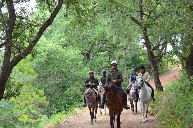 Horseback Riding, 4 Options-Mountain, Lesson Ring, Beach (2Hours) - Exploring the Scenery