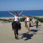 Horseback Riding In Bodrum Overview Of The Tour