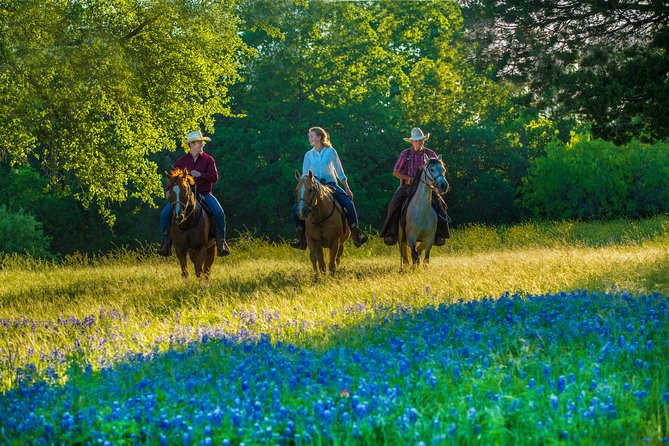 Horseback Riding on Scenic Texas Ranch Near Waco - Scenic Views and Outdoor Adventure