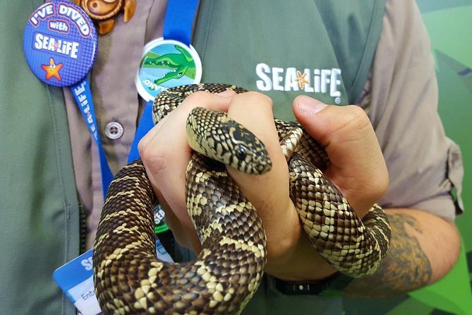 Hunstanton Sea Life Sanctuary General Admission Ticket Admission And Ticket Information