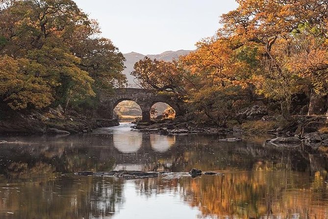 Innisfallen Island - Enjoy the Scenery & History of the Lakes of Killarney. - Overview of the Lakes of Killarney