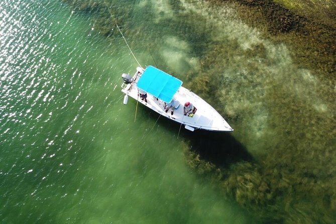 Inshore & Fly Fishing Punta Cana Private Charter at Marina Cap Cana - Overview of the Charter Experience