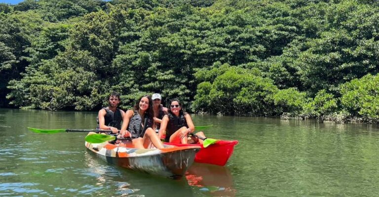 Iriomote Mangrove River Canoe Review Activity Overview