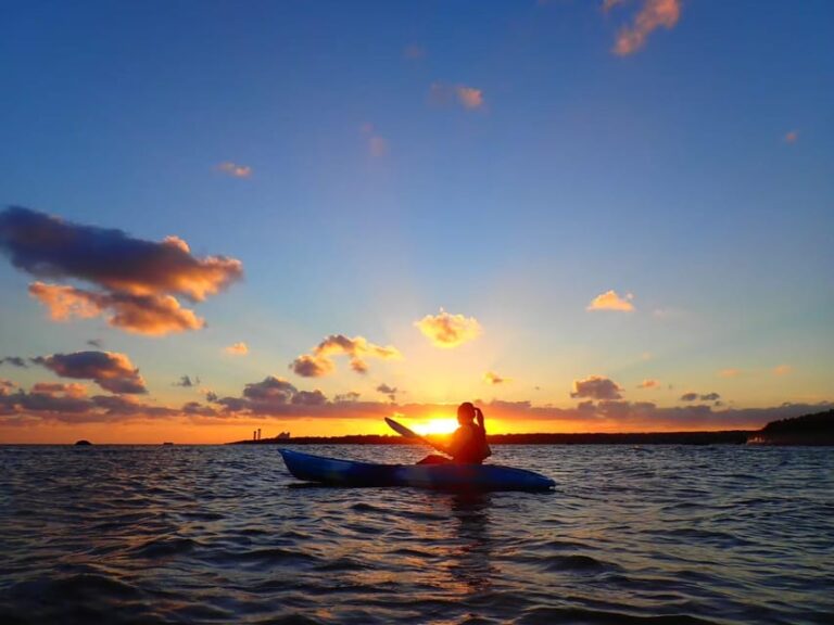 Ishigaki: Amazing Sunrise Canoe Tour At The Mangrove River Activity Highlights