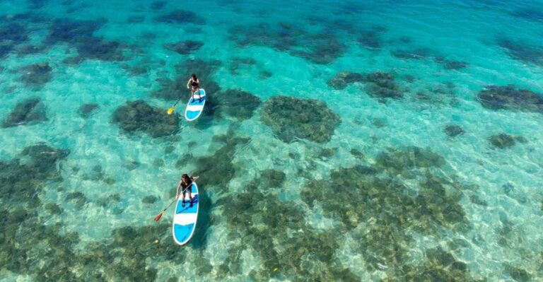 Ishigaki Island: Sup Or Kayaking Experience At Kabira Bay Activity Overview