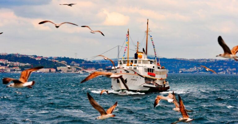 Istanbul: Bosphorus And Golden Horn Morning Or Sunset Cruise Activity Details