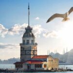 Istanbul Old City And Bosphorus Tour Tour Highlights