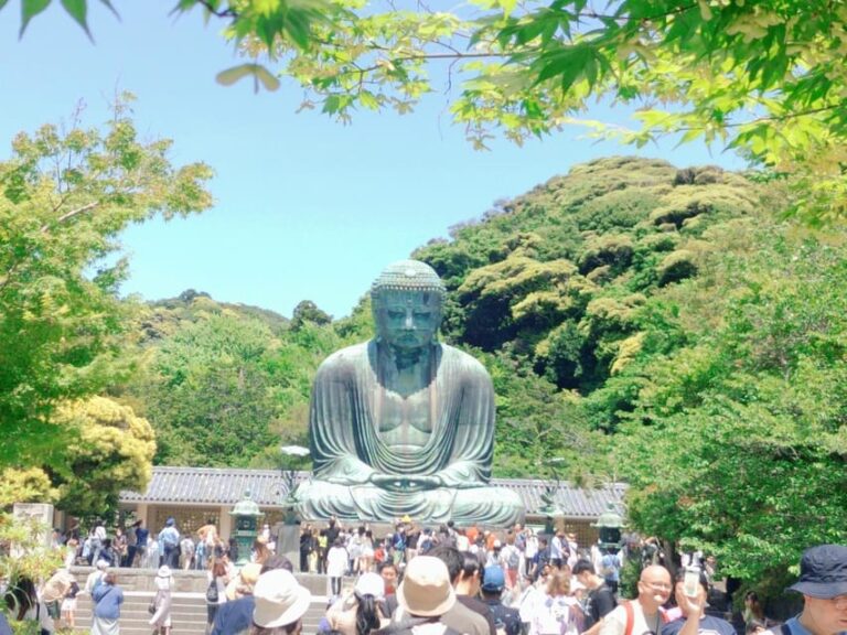 Kamakura: Hiking With Private Guide In Spanish Tour Overview