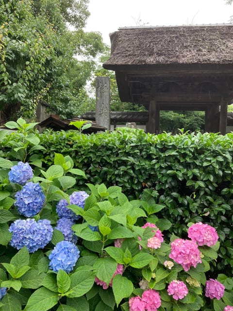 Kamakura: Tour on the Works of Ninshô in French - Tour Overview and Pricing