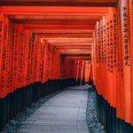 Kansai 10 Hour Chartered Day Trip｜kyoto Trip Overview And Pricing