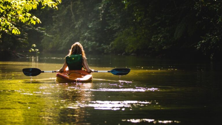 Kayak Tagus River Private Guide Activity Overview