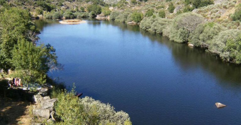 Kayak Tour On The Côa River Overview Of The Activity